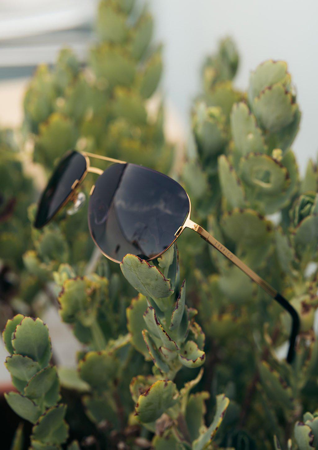 Titanium Aviators - V2 - Changeable Lenses