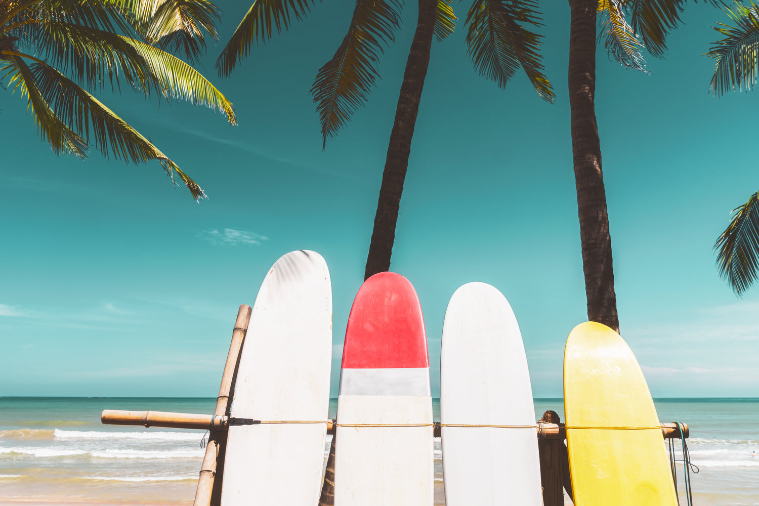 Surfing Collection