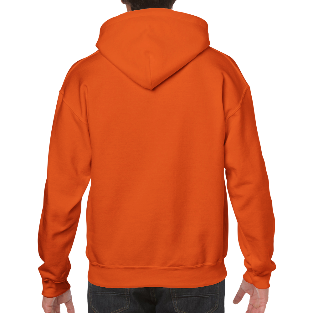 Classic Pullover Original Specimen Hoodie back